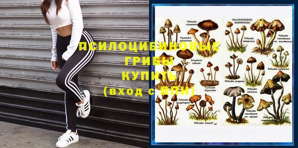 MDMA Premium VHQ Белокуриха