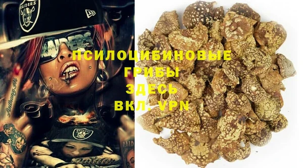 MDMA Premium VHQ Белокуриха