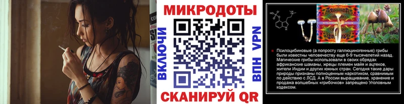 Псилоцибиновые грибы Psilocybe  где найти наркотики  Гусев 